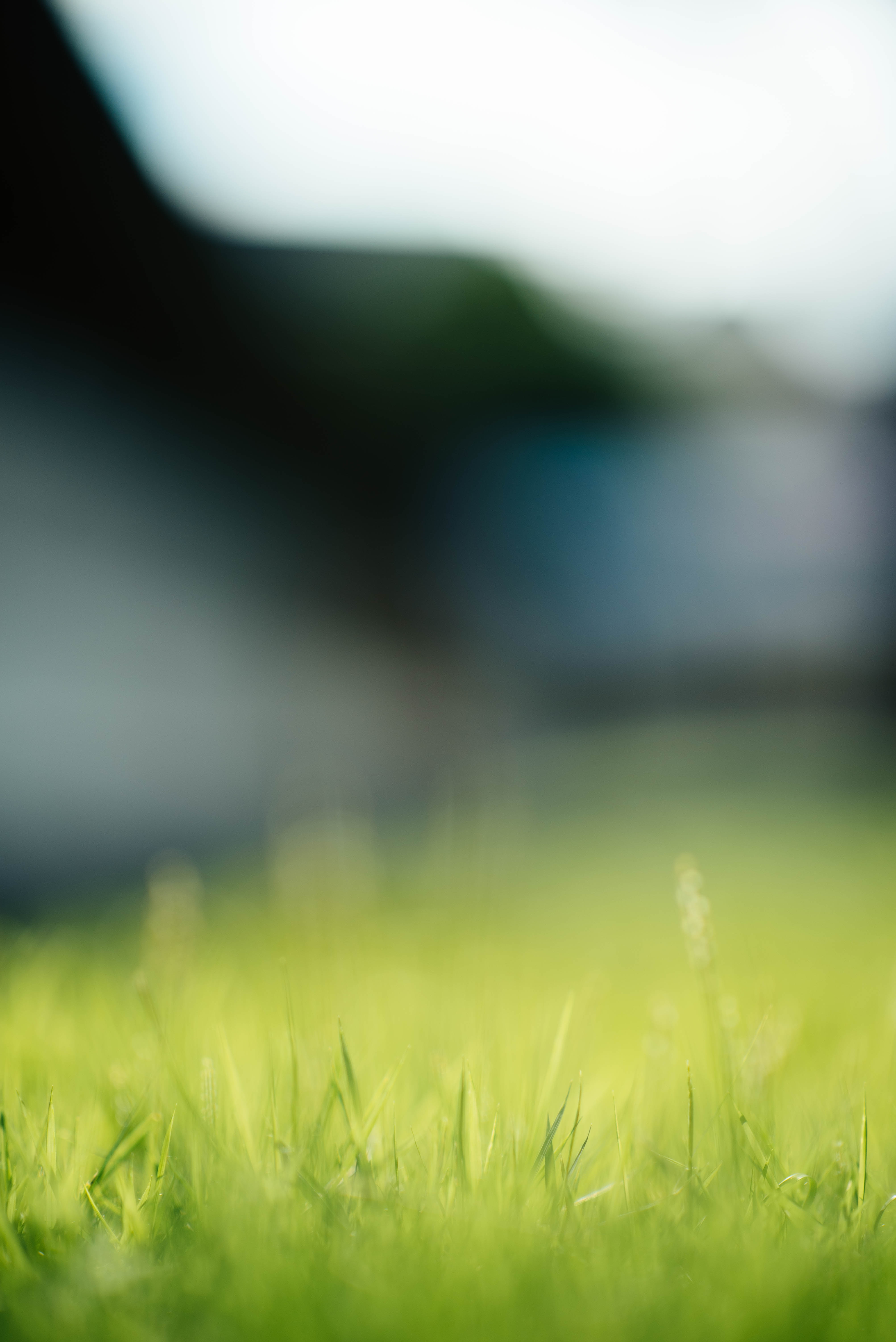 chuttersnap-jCHtY4w4YJo-unsplash